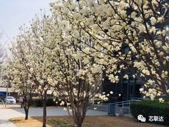 5cac611636949.jpg 1.jpg